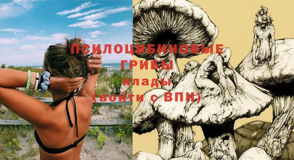трава Алексин